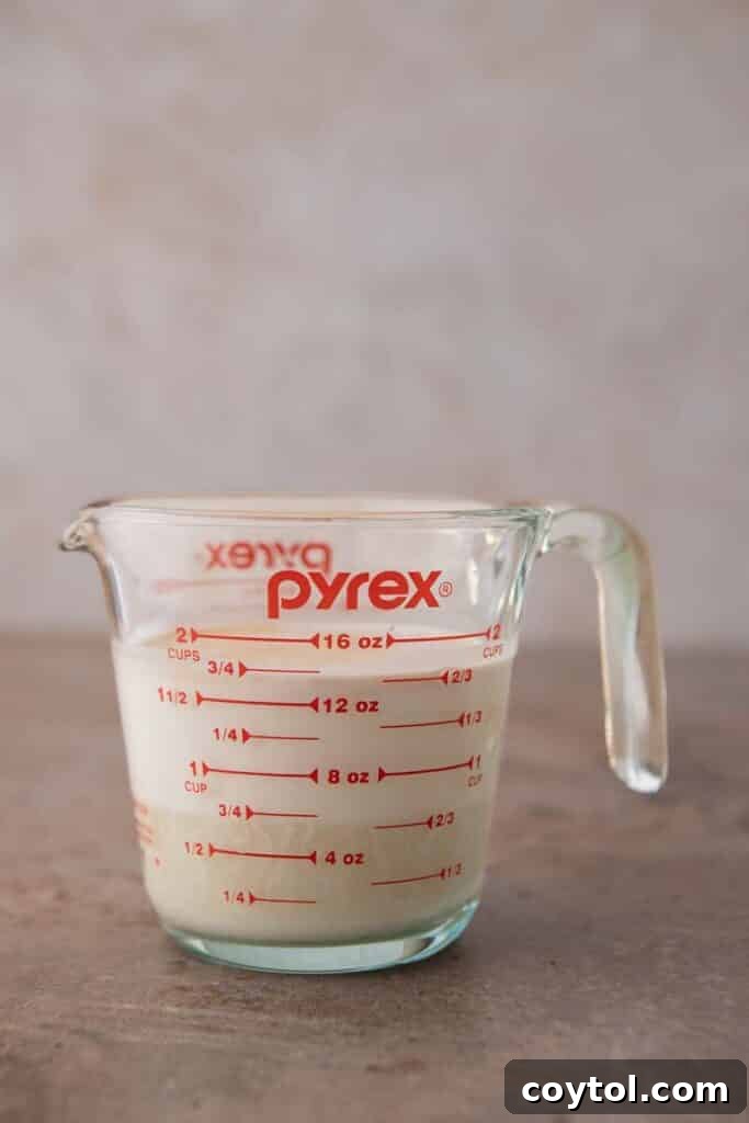 Copycat Coffee Mate Italian Sweet Cream Recipe 5 Ingredients being measured for the recipe