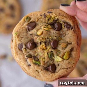 Decadent Brown Butter Pistachio Chocolate Chip Cookies 13 A hand holding a perfectly baked brown butter pistachio chocolate chip cookie, ready to be enjoyed.