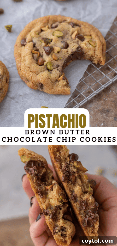 Decadent Brown Butter Pistachio Chocolate Chip Cookies 16 Artistic close-up of a brown butter pistachio chocolate chip cookie with a focus on its texture and toppings.