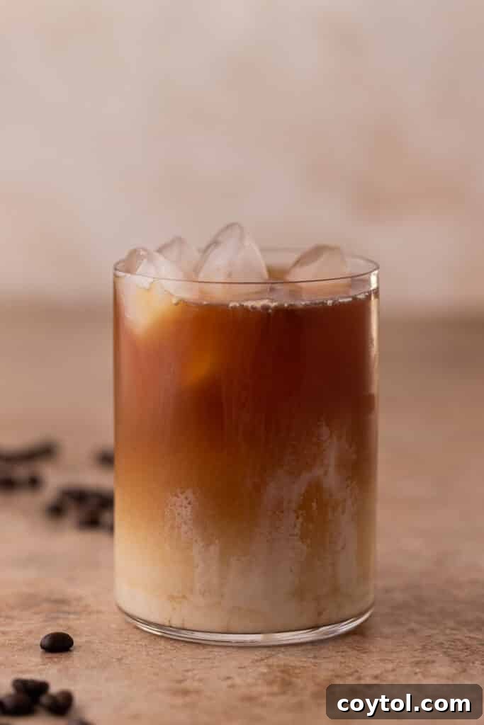 Emma Chamberlain Cold Brew 