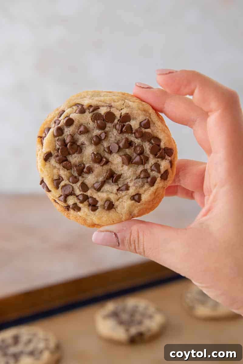 Soft and chewy chocolate chip sugar cookie held in hand, showing its perfect texture and abundant chocolate chips