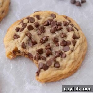 Chocolate chip sugar cookies, golden brown and perfectly baked