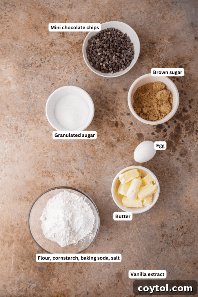 Ingredients laid out in bowls, ready for chocolate chip sugar cookie baking