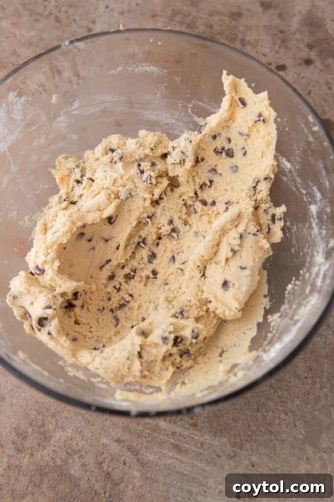 Soft chocolate chip sugar cookie dough after mixing, ready for scooping and baking