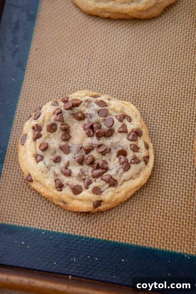 Soft baked chocolate chip sugar cookie resting on a baking sheet, showing golden edges