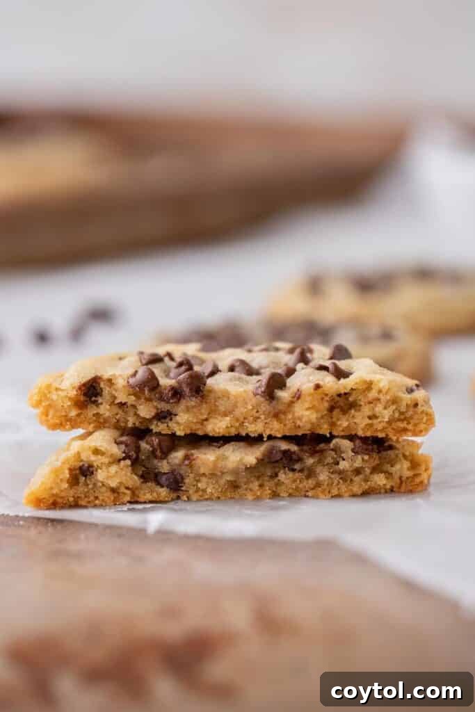 Inside texture of a soft chocolate chip sugar cookie split in half, revealing its chewy center and melted chocolate chips