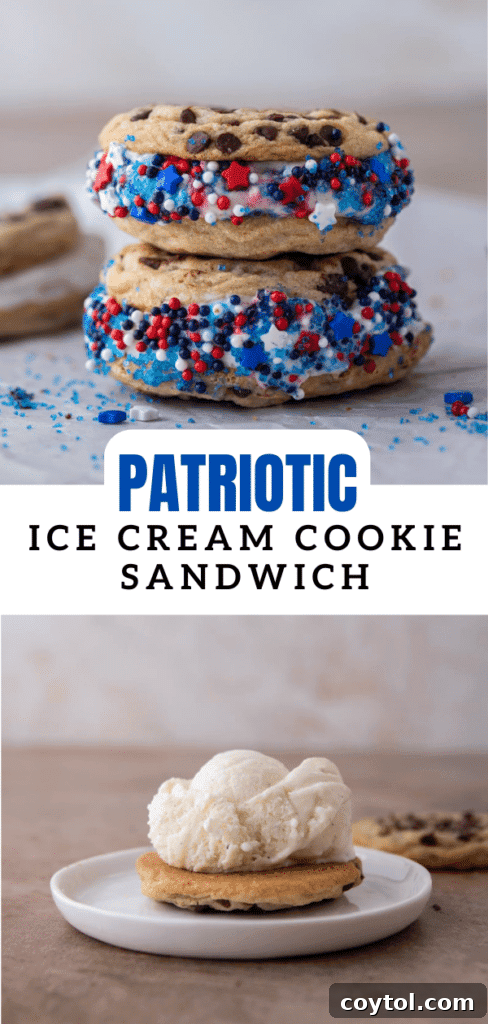 Patriotic ice cream cookie sandwich, close up.