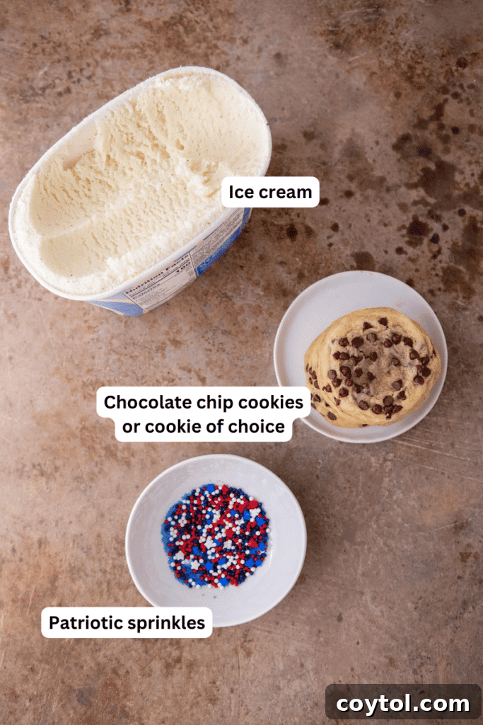 Ingredients laid out on a kitchen counter, including cookies, ice cream, and patriotic sprinkles.