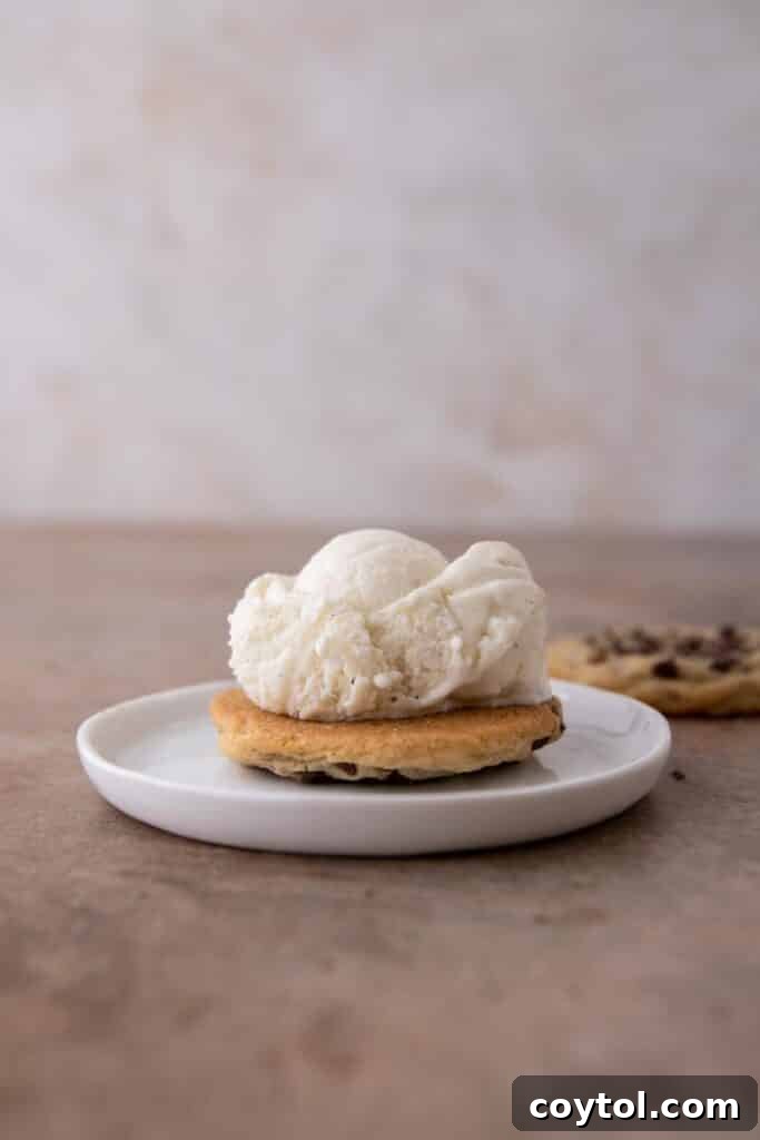 Step-by-step image of placing ice cream on a cookie.