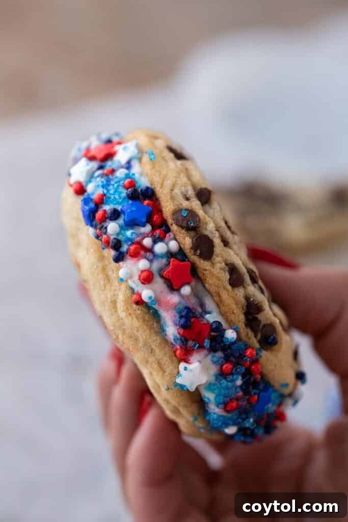 A hand holding a patriotic ice cream sandwich with colorful sprinkles.