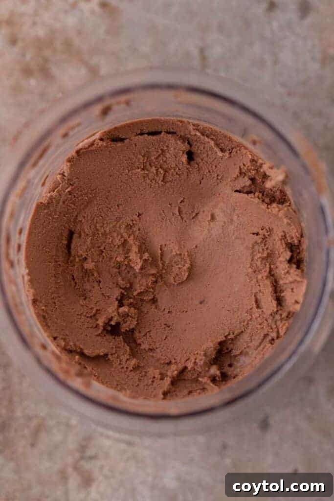 Ninja Creami: The Ultimate Chocolate Experience 7 Freshly spun Ninja Creami chocolate ice cream