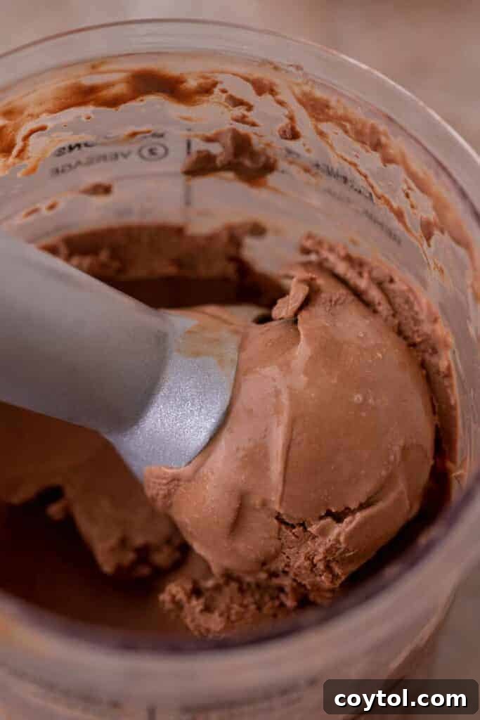 Ninja Creami: The Ultimate Chocolate Experience 8 Ninja Creami chocolate ice cream served in a clear cup