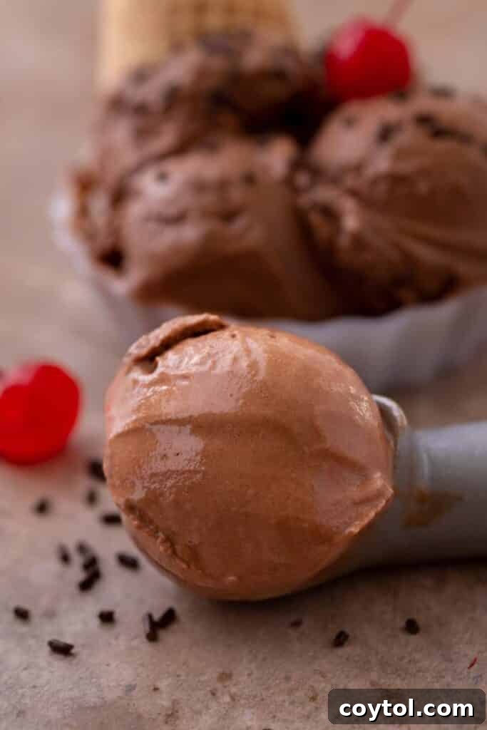 Ninja Creami: The Ultimate Chocolate Experience 9 Scoop of creamy chocolate ice cream in a dish