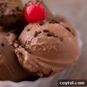 Ninja Creami Chocolate Ice Cream