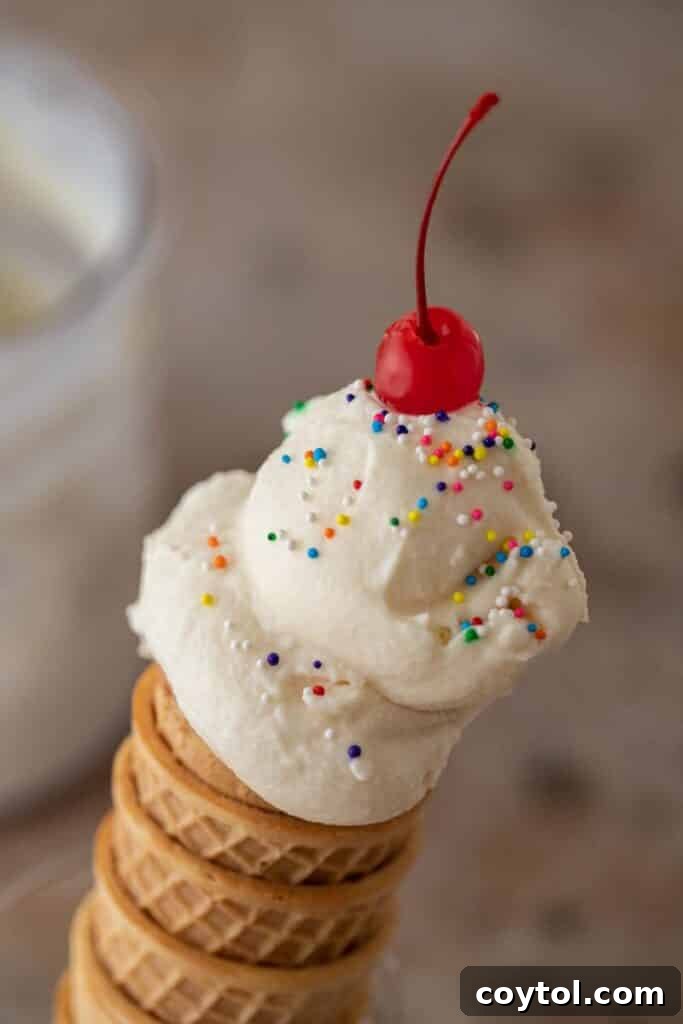 Ninja Creami Vanilla: Your Ultimate Guide to Creamy Bliss 2 Ninja creami vanilla ice cream