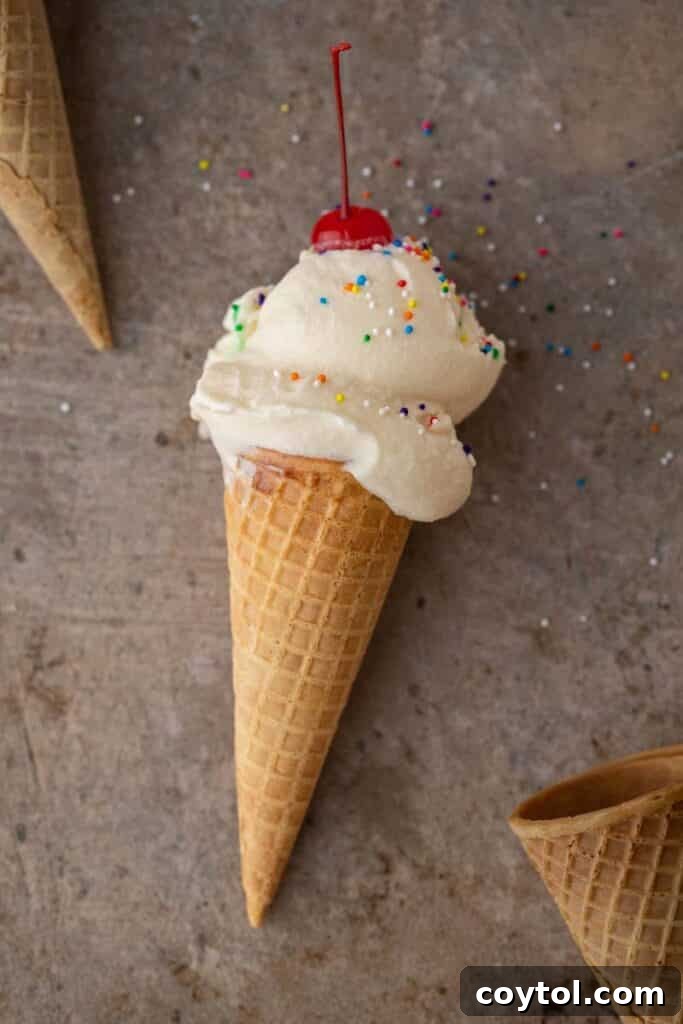 Ninja Creami Vanilla: Your Ultimate Guide to Creamy Bliss 11 Ninja creami vanilla ice cream in cone