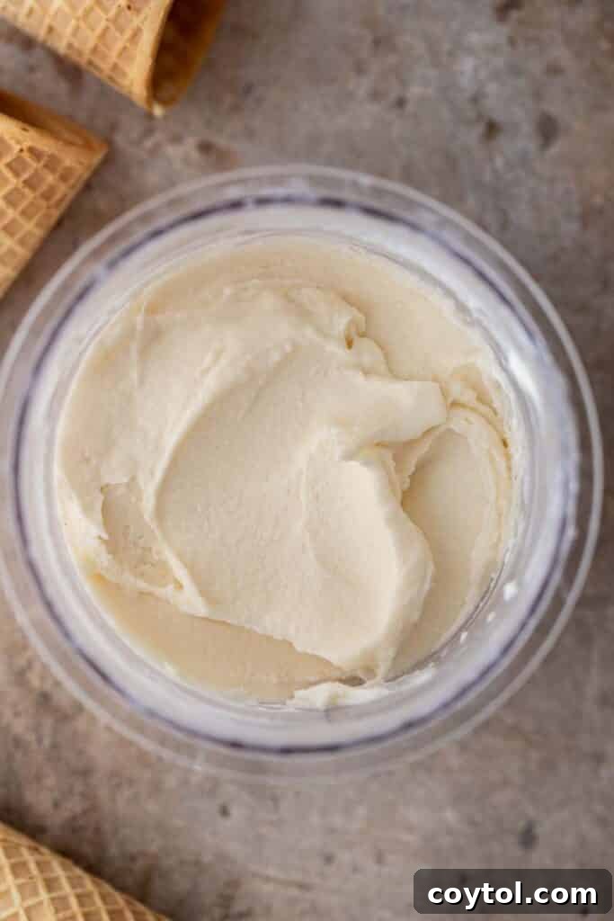 Ninja Creami Vanilla: Your Ultimate Guide to Creamy Bliss 8 Ninja creami vanilla ice cream