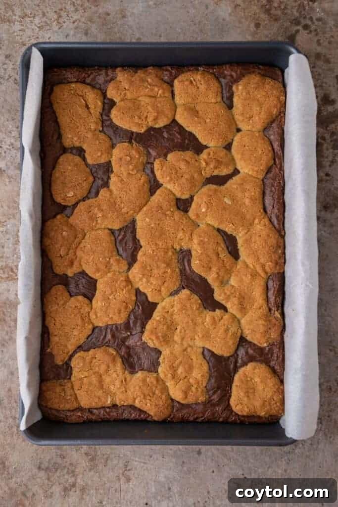 Starbucks oat fudge bars 