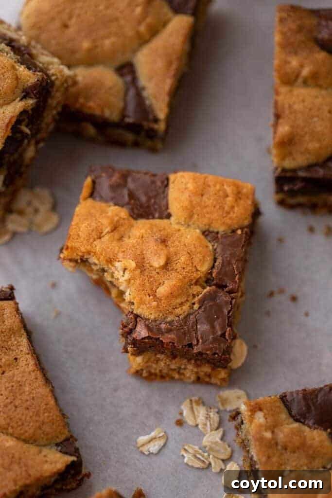 Sliced oatmeal fudge bars