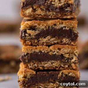 Stack of Starbucks oat fudge bars