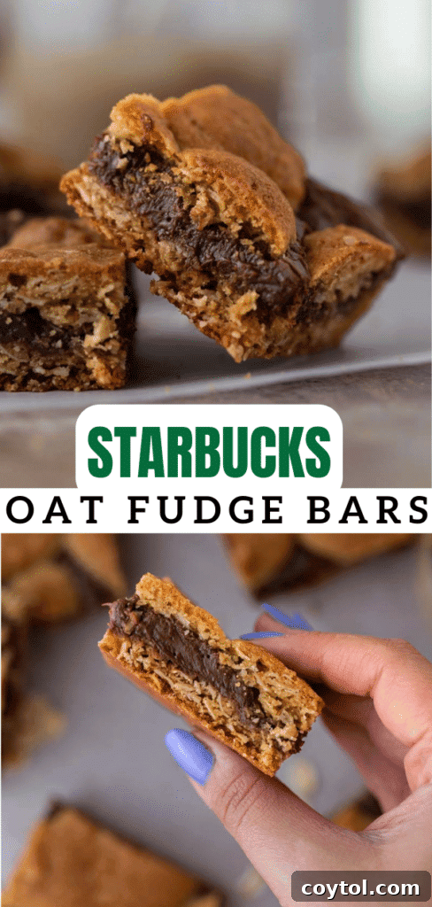 Starbucks oat fudge bars 