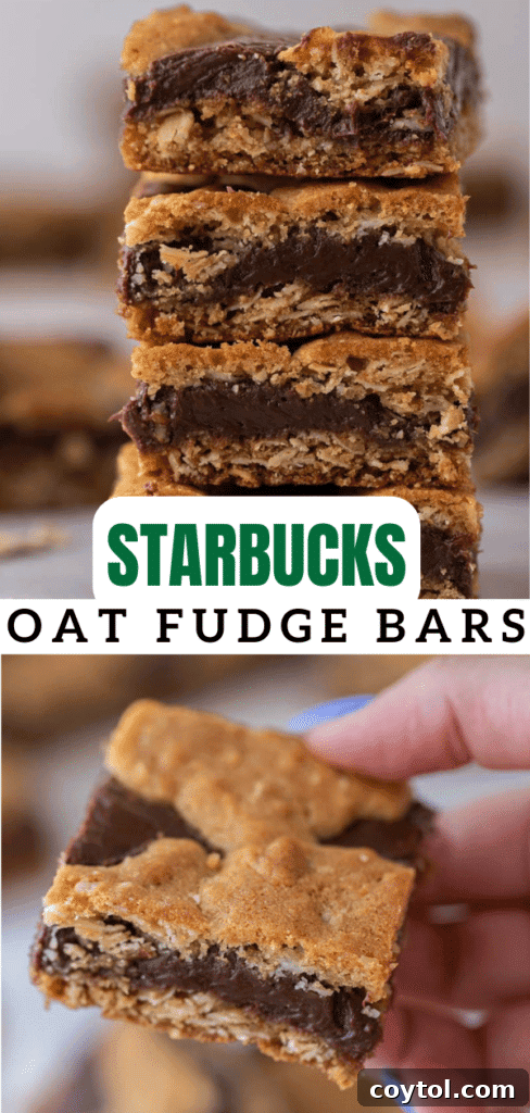 Starbucks oat fudge bars 