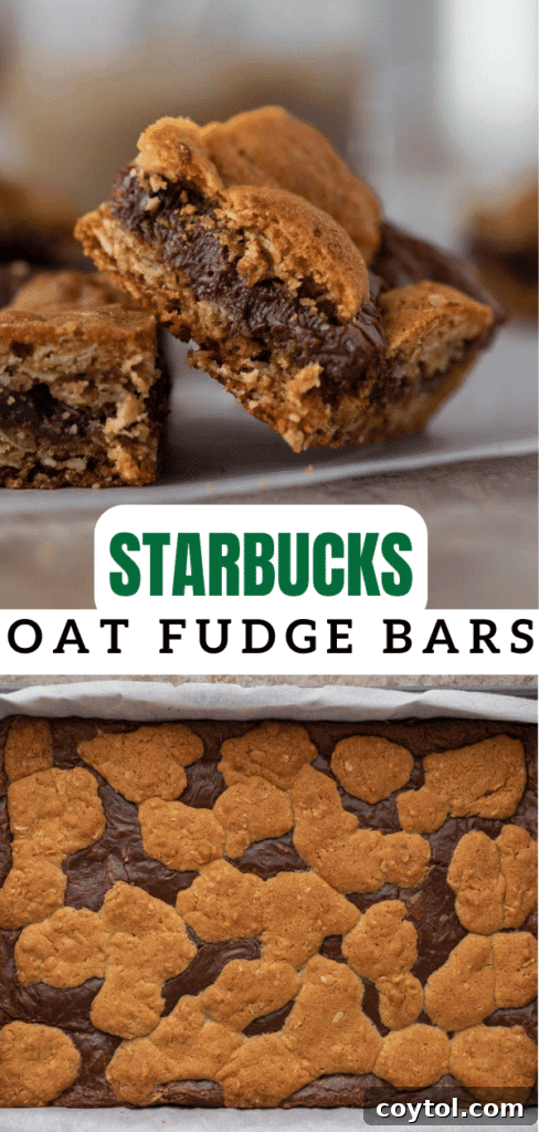 Starbucks oat fudge bars 