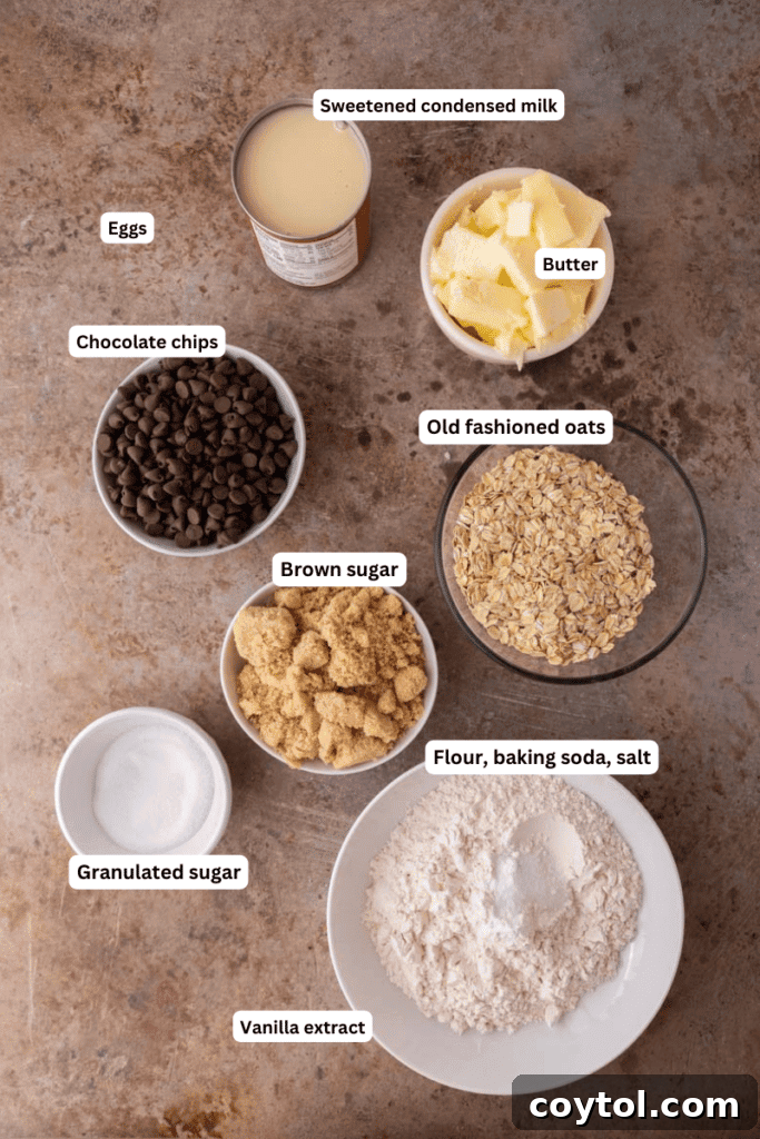 Ingredients on the counter