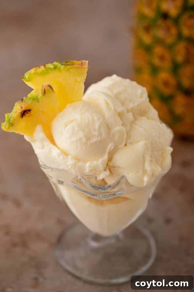 Ninja Creami Pineapple Sorbet served in a glass with a spoon