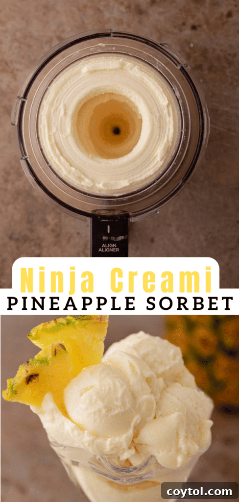 Pinterest collage featuring Ninja Creami pineapple sorbet