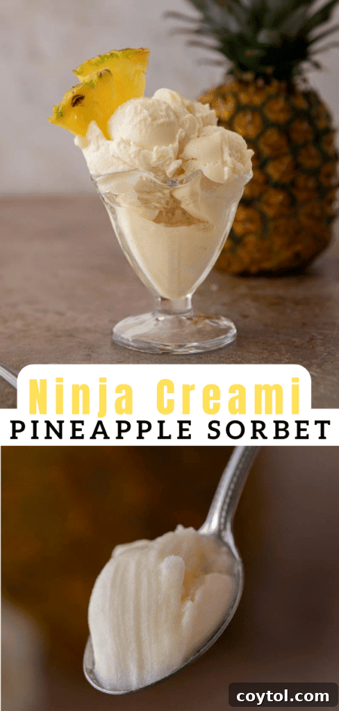Pinterest collage with steps for making Ninja Creami pineapple sorbet