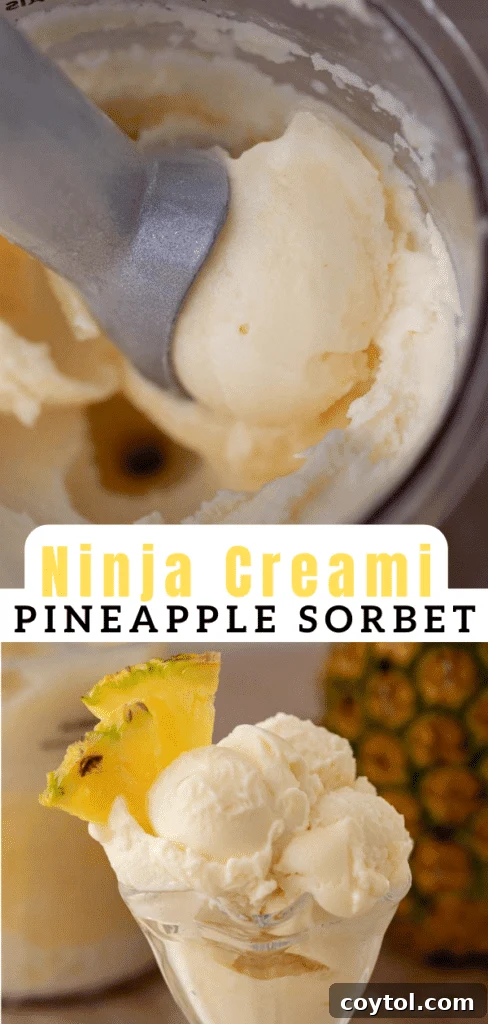 Ninja Creami Pineapple sorbet in a glass with a spoon, ready to eat