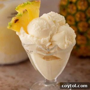 Ninja Creami Pineapple Sorbet in serving glass
