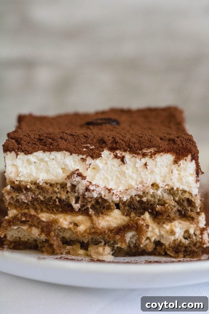 Slice of easy no-bake tiramisu with creamy mascarpone layers and cocoa topping