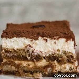 Slice of easy no-bake tiramisu with creamy mascarpone layers and cocoa topping