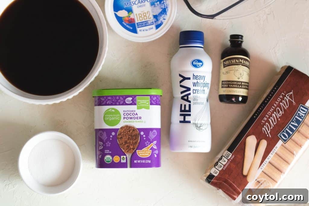 Ingredients for easy tiramisu including mascarpone, cream, coffee, cocoa powder, and ladyfingers