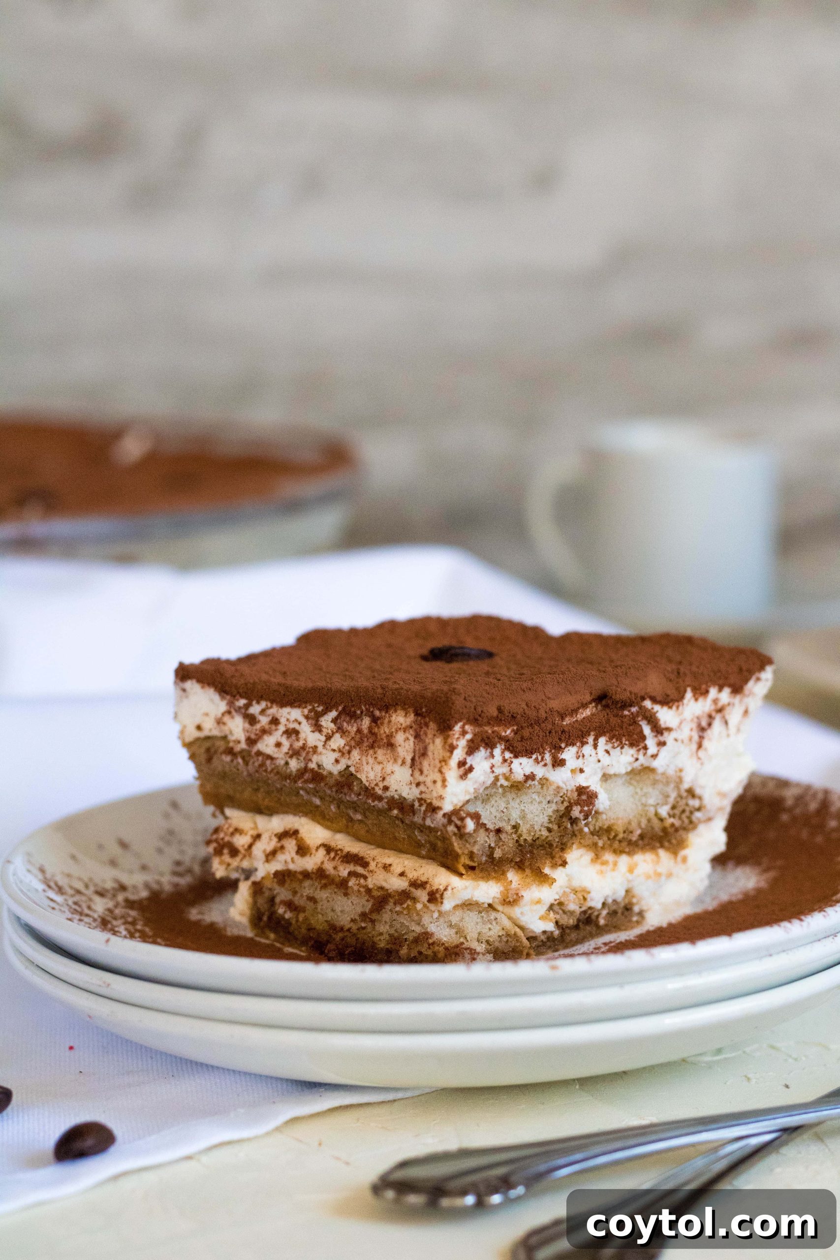 Layers of mascarpone cream and coffee-soaked ladyfingers in a tiramisu dessert