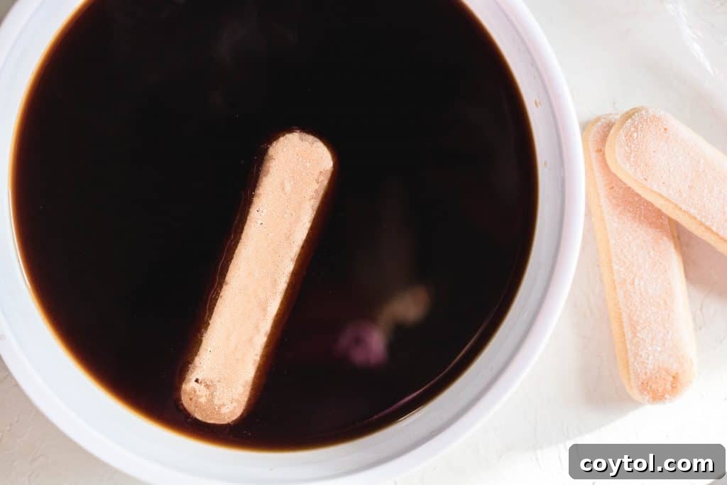 Ladyfinger dipped briefly in coffee for tiramisu