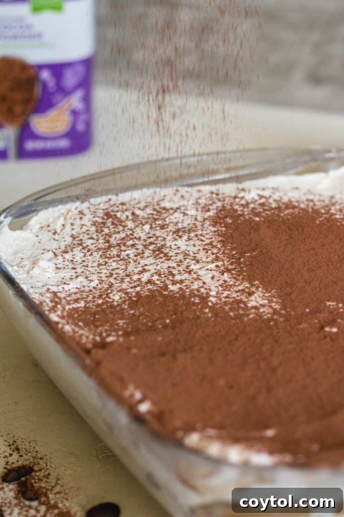 Cocoa powder dusted over tiramisu