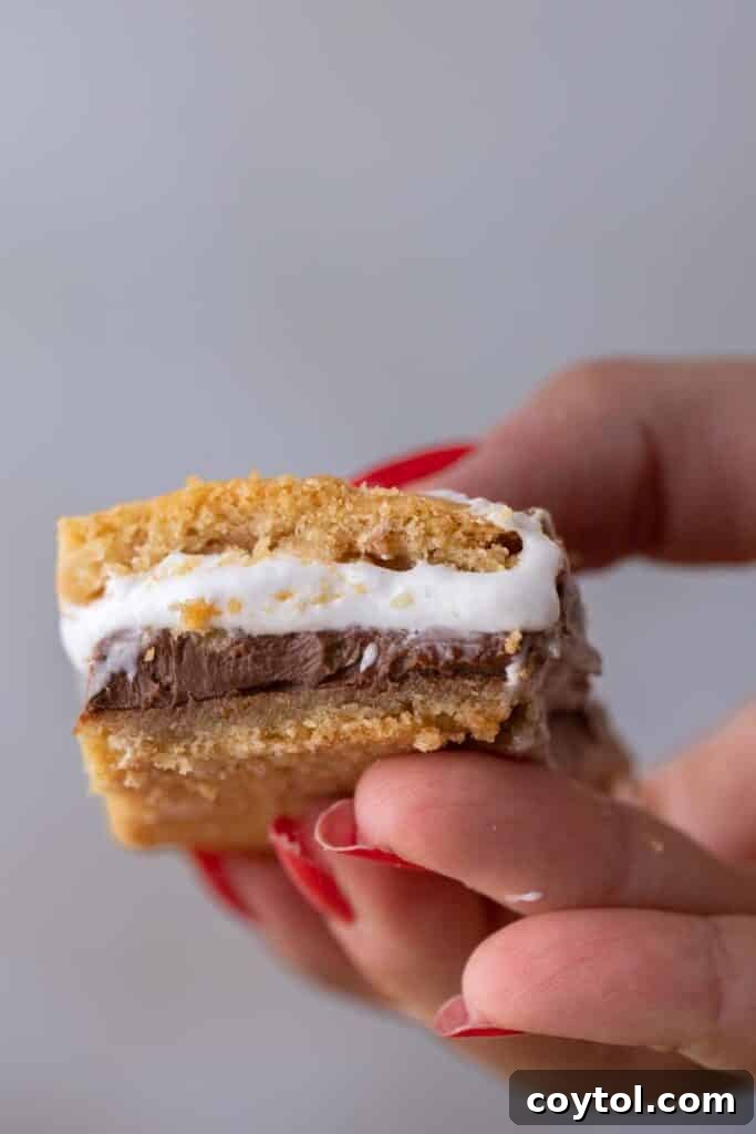 Hand holding s'mores bar cookies
