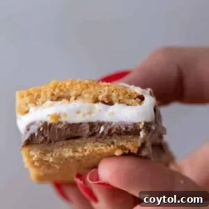 Hand holding s'mores bar cookies