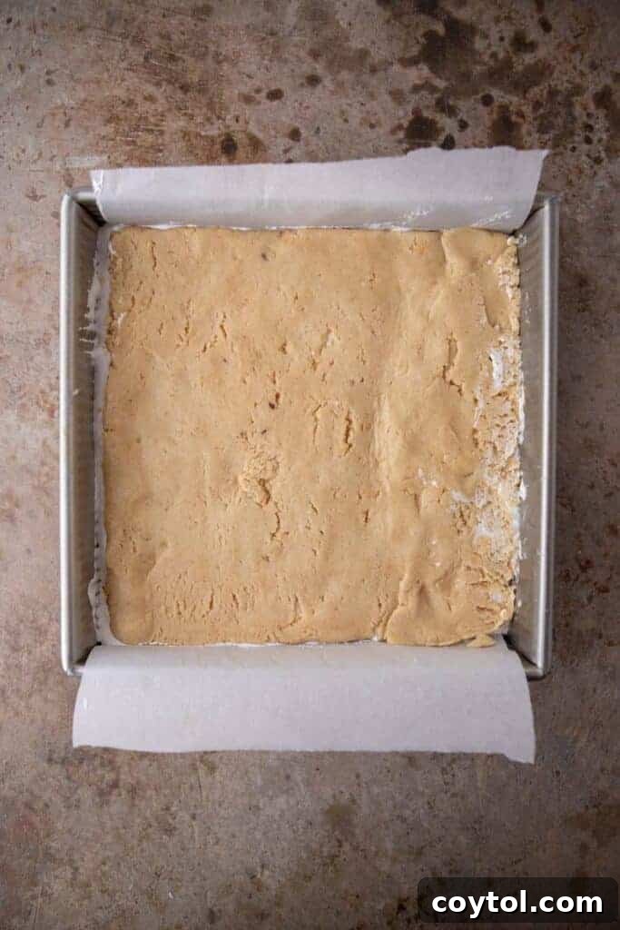 Raw s'mores bar cookies in pan
