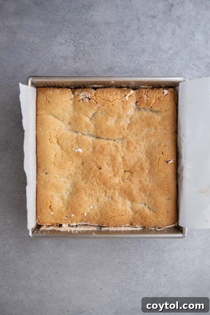 smores cookie bars