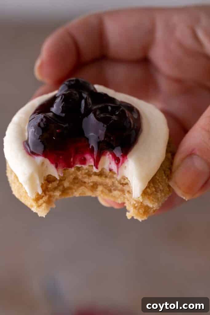 Crumbl blueberry cheesecake cookies