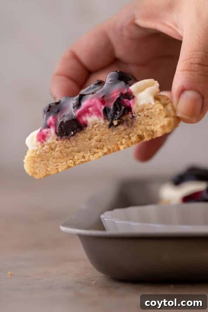 Hand holding Blueberry cheesecake cookies