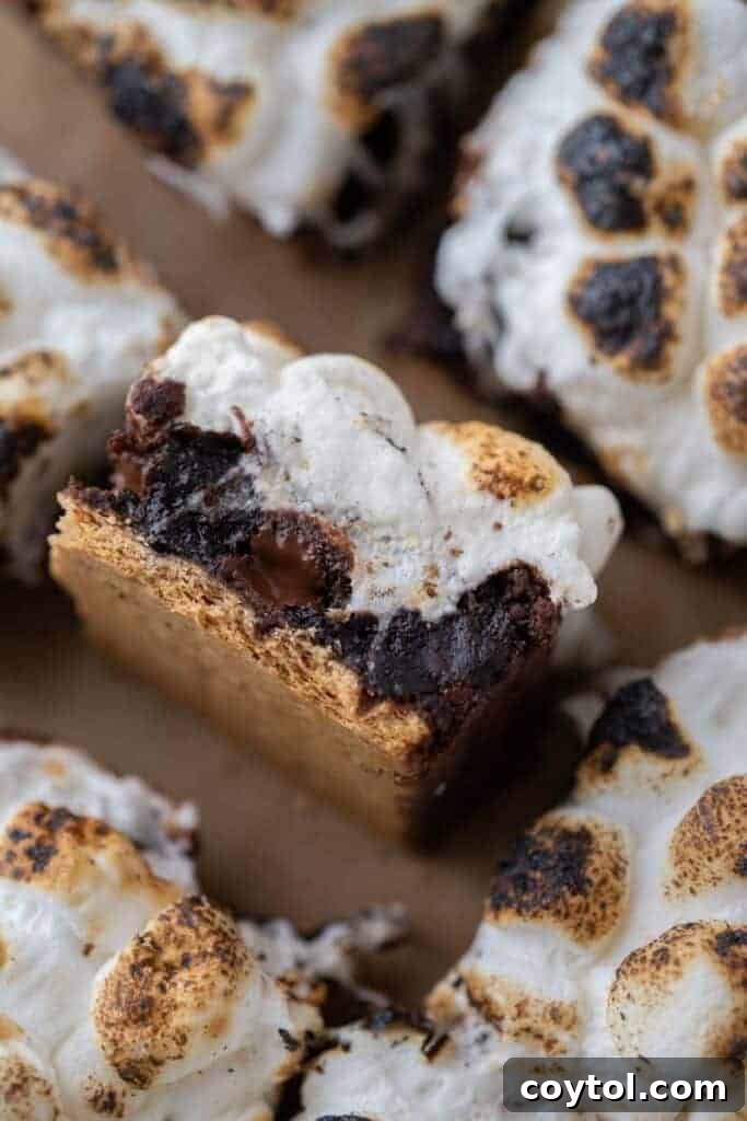 Lazy girl smores brownies