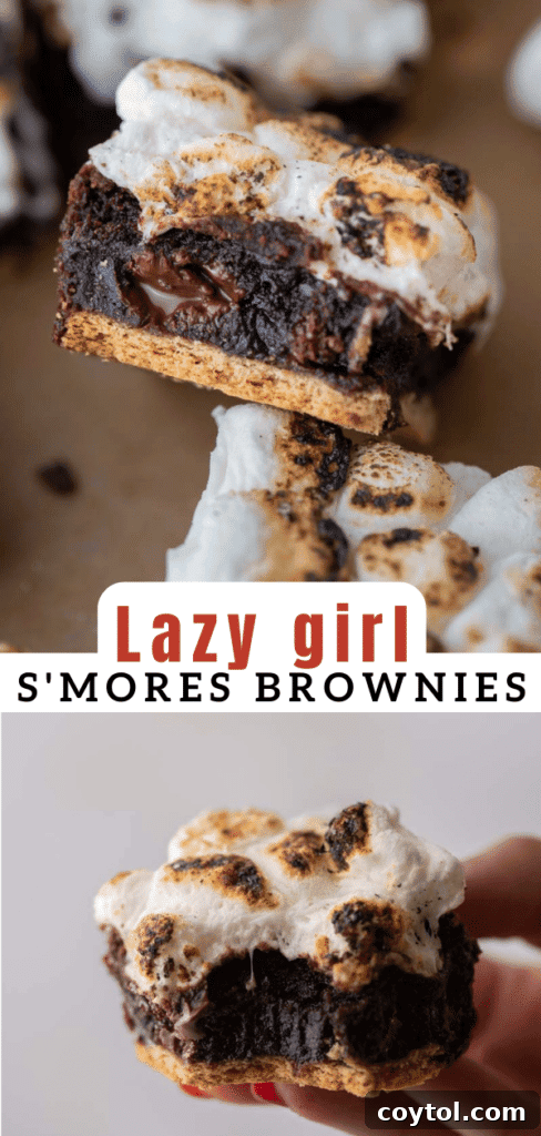 Lazy girl s'mores brownies 
