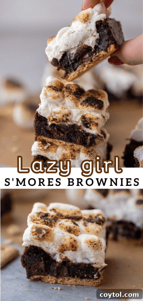 Lazy girl s'mores brownies 