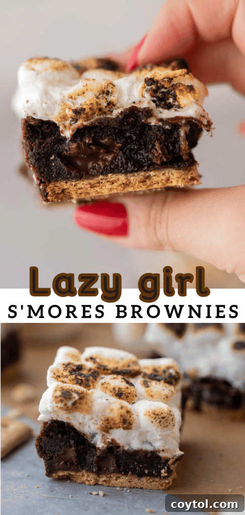 Lazy girl smores brownies