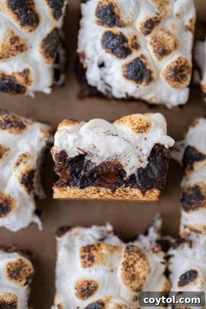 Smores brownies